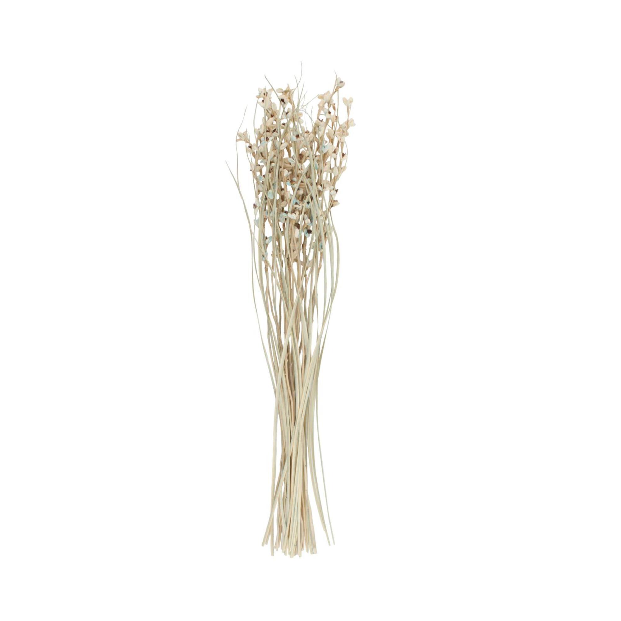 41" Cream Dried Natural Foliage Bouquet with Brown Stems